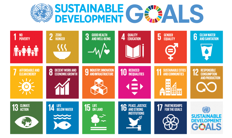 SDG visual